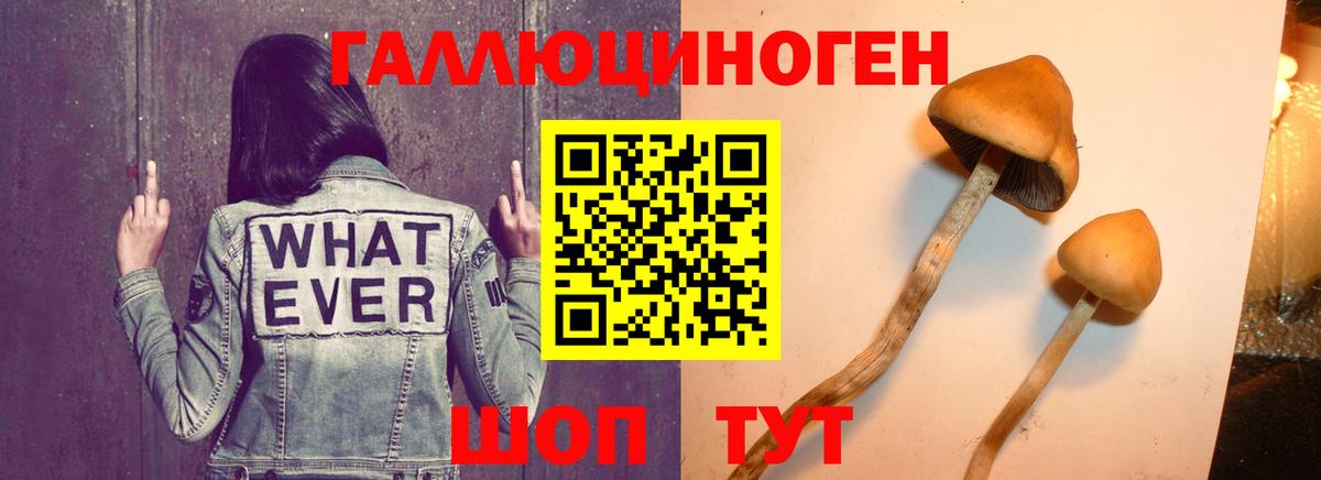 Галлюциногенные грибы GOLDEN TEACHER Бор